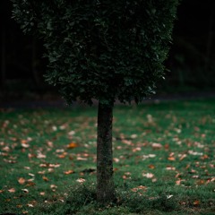 Shepherdess (Porter Robinson) - Remix by Finn