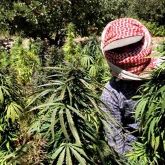 Live Mix @ FM4 Radio, Vienna 15/1/21