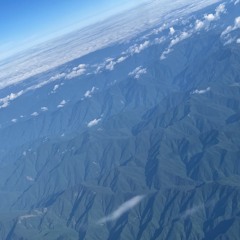 IT'S PATHETIC TO YOU GET YOURSELF A CROWN JUST TO BE A CLOWN.