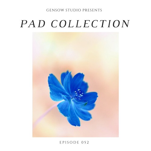 Stream [FREE DOWNLOAD] Epic Pads Sample & MIDI Pack Ambient, Cinematic Soundscapes Royalty