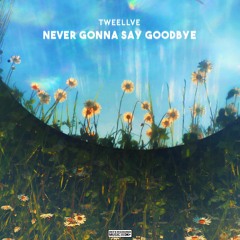 Tweellve - Never Gonna Say Goodbye