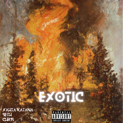 Exotic [prod.Seth & Chr1s]