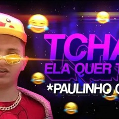 BEAT DO PAULINHO O LOKO - Ela quer tchais (FUNK REMIX) by Sr. Nescau
