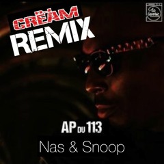 AP du 113 La nuit Remix feat snoop & nas