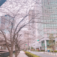 sunlight (siemspark)