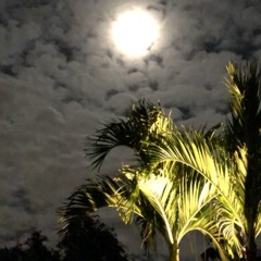 Elxlfy + MLΔX - Run The Circus (Prod. CLAUX)