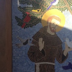 habit (on pat's guitar)