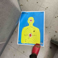 Zoned Out Everyday (ZoE*)