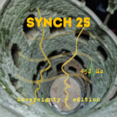 Synchronicities 25 - 432hz - Sovereignty, Sisters and Brothers