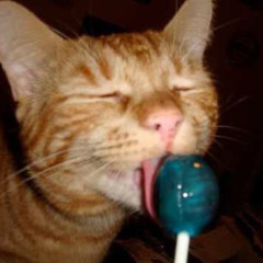 sweet#