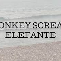 Elefante (prod. malloy x graux)
