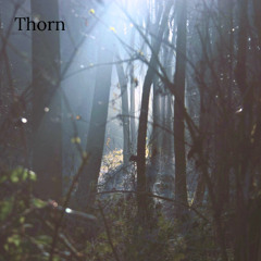 Thorn
