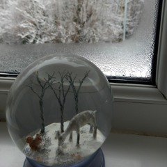 The grand aviary halls