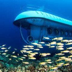 Review Special Price Waikiki Atlantis Submarine Adventure