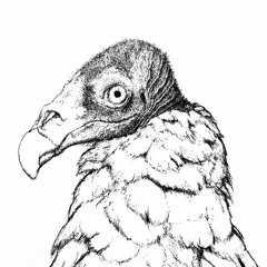 VULTURES (feat. ZekeUltra & SSTRAWBERRY)