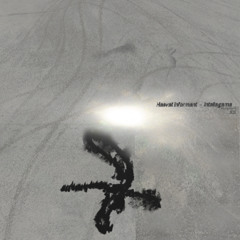 Hasvat Informant - Eight Ball