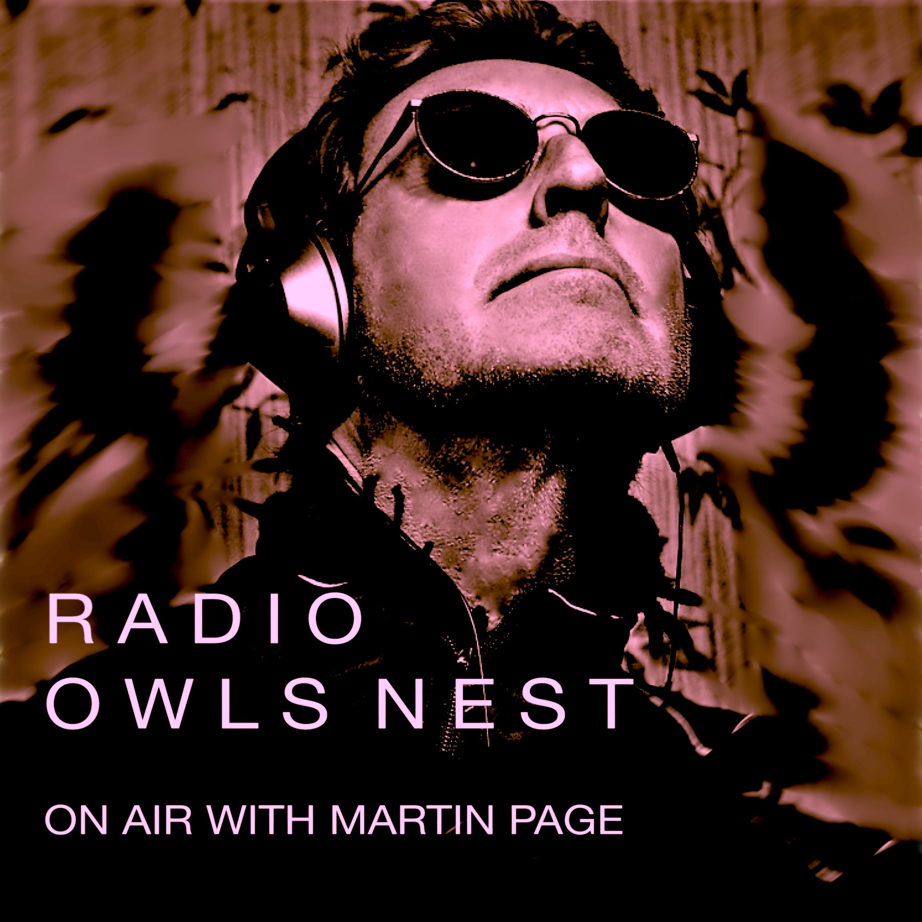 Radio OwlsNest