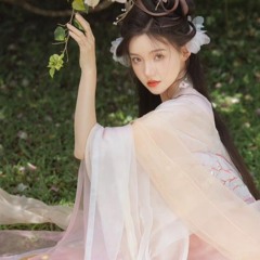 NST Ngẫu Hứng China Cổ Vol1