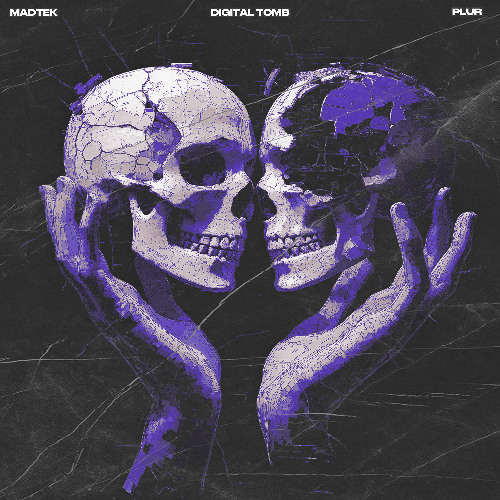 MADTEK & PLUR - DIGITAL TOMB [FULL STREAM]