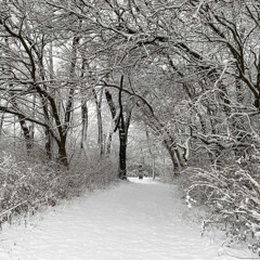 Synapse  (-6°F)