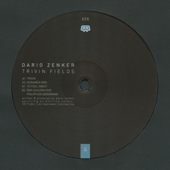 Der Schlern (feat. Philipp von Bergmann)