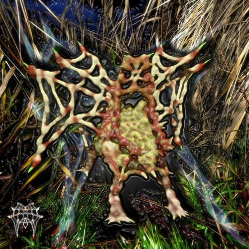 Dj Würm - Throne Of Rot