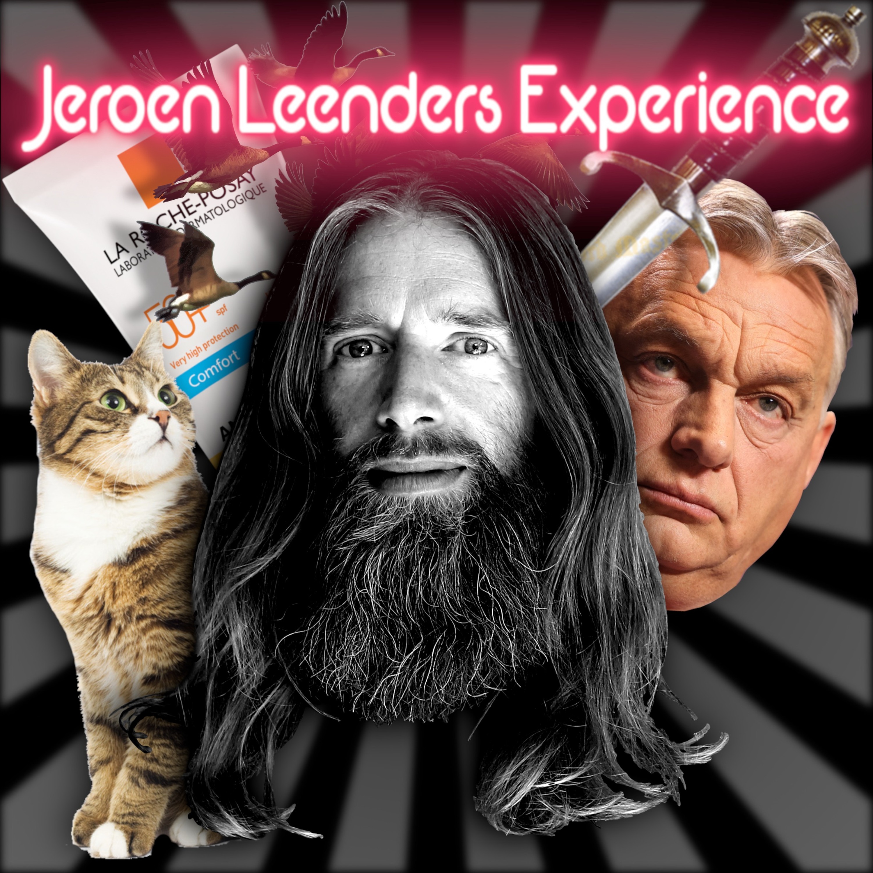 Jeroen Leenders Experience