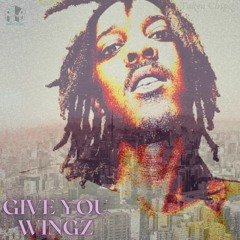 Give You Wingz
