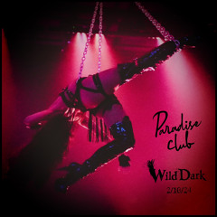 Wild Dark @ Paradise Club NYC 2/10/24