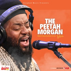 The Peter 'Peetah' Morgan Tribute Mix Morgan Heritage by Blame It On Don