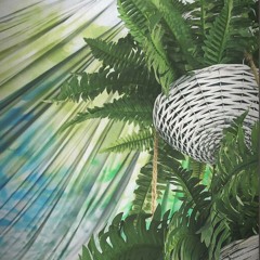 Discoslutz @Baaar Garden (Basic Club)