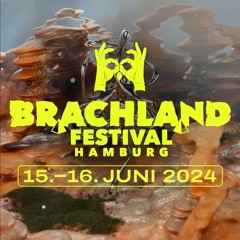 Brachland Festival 2024