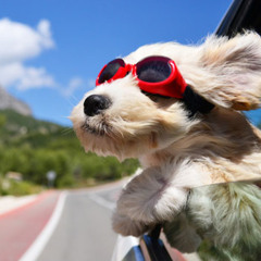 i can do it!