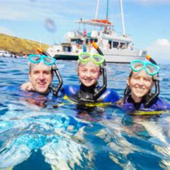 Best Molokini Crater Snorkel Tour Prices Reviews