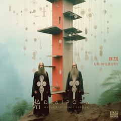 World Electronic Grooves DIASPORA #231 - Uriwilbury - BN MALLORCA Radio