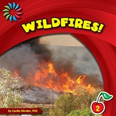 𝔻𝕆𝕎ℕ𝕃𝕆𝔸𝔻 EPUB 📃 Wildfires! (21st Century Basic Skills Library: Natural Dis