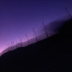 Euphoric (feat.Bendaplug & Fukkpolo)