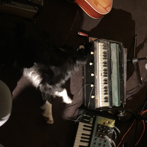 Stream Harmonium Drone pt1 (demo) by Muletonic Listen online for free