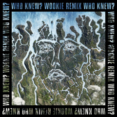 Who Knew? (Wookie Remix)