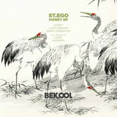St.Ego - Magic Obsession (N'Pot Remix) [Bekool Records]