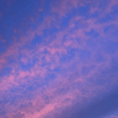 This One Girl [p. harleymakingbeats]