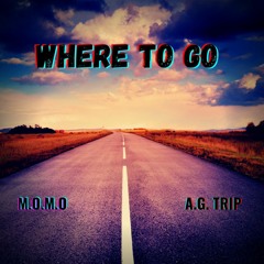 WHERE TO GO (Feat A.g. trip)
