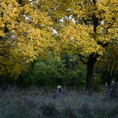 DREAMS OF A PAST LIFE W/ ENMANIGUADA 040124