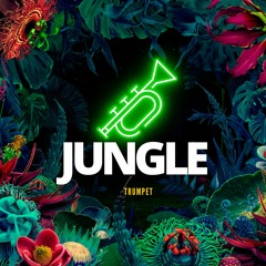 Robbi Altidore - Jungle Trumpet (HotzHouse Sound Wars #1 - Gindi Stadium Environment)