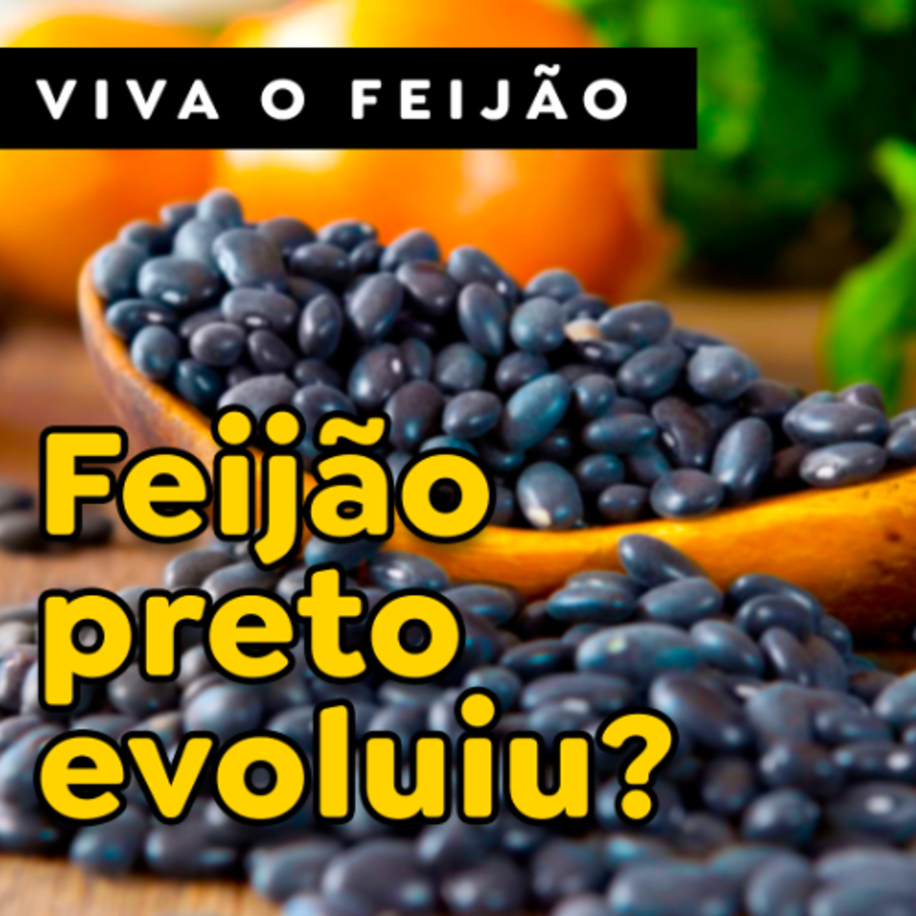 Paracatu Rural - Jornal do agronegócio