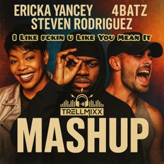 I Like fckin u Like You Mean It (Dirty) Trellmixx