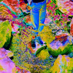 Shanin Blake - Nature Song - Shuah's Reinfusion