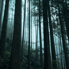 27Rooms-009AMbient Works