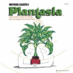 Music To Soothe The Savage Snake Plant