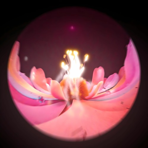 Mind Me (Melody Mix)